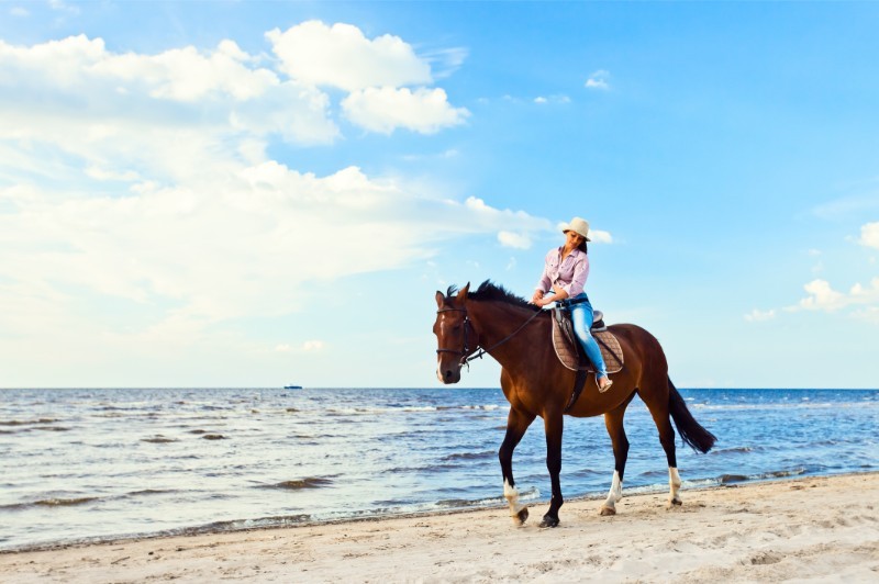 Horseback Ride Along Nearby Beaches